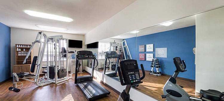 广场购物中心舒适套房酒店(Comfort Suites at Plaza Mall)图片