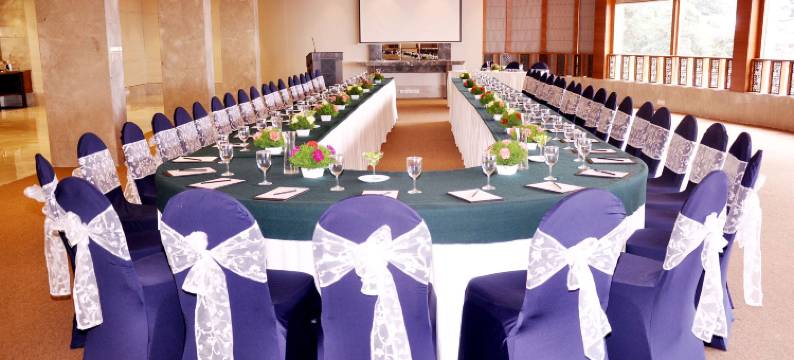 西姆拉丽筠酒店(Radisson Hotel Shimla)图片