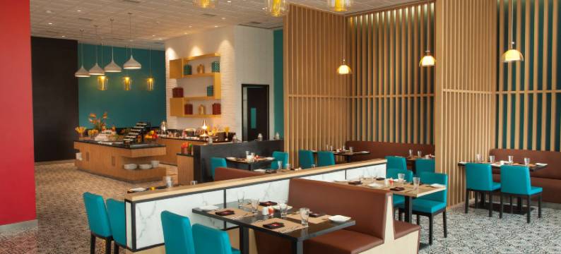 比拉斯布尔丽柏酒店(Park Inn by Radisson Gurgaon Bilaspur)图片