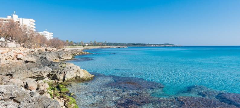 风之玫瑰 2A 酒店(Rosa Dels Vents 2A)图片