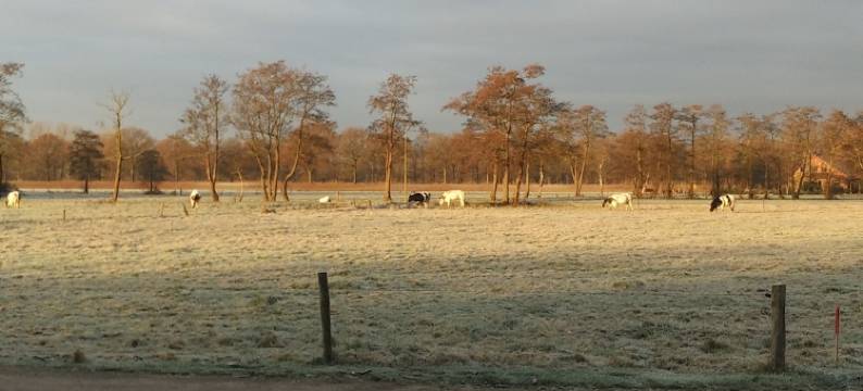 Bed & Breakfast El Manso图片