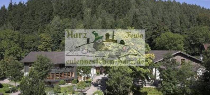 Eulennestchen-Harz Fewo S1 & L2 Für Single, Paar Oder Familie & Hund Oberharz图片