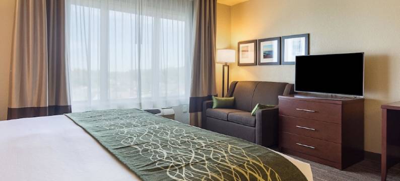 本顿维尔- 水晶桥舒适酒店(Comfort Inn Bentonville - Crystal Bridges)图片