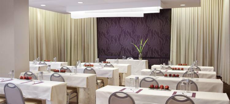 纽约谢尔本索内斯塔酒店(The Shelburne Sonesta New York)图片