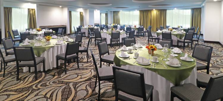 克雷塔罗克里斯塔尔假日酒店(Holiday Inn Queretaro Zona Krystal)图片