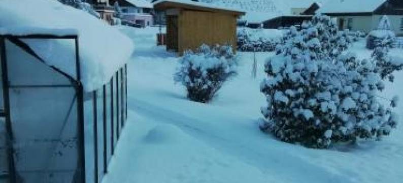 Haus Anneliese图片