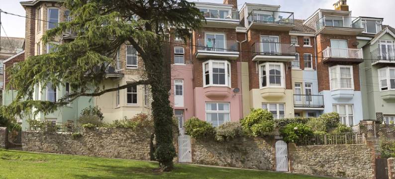 Lower Maxpoffle图片