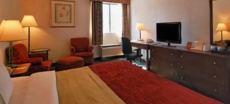 Comfort Inn Boston图片