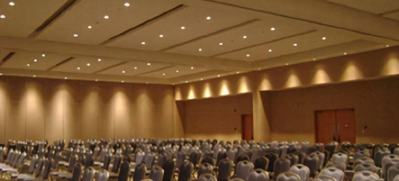 塞拉亚卡萨商务酒店(Casa Inn Business Hotel Celaya)图片