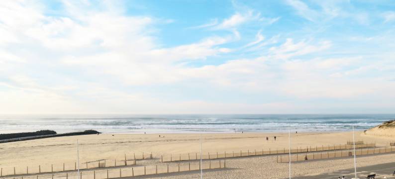 Les Goélands (Vib215)图片