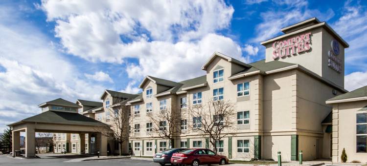 麦迪逊舒适套房酒店(Comfort Suites Madison West)图片