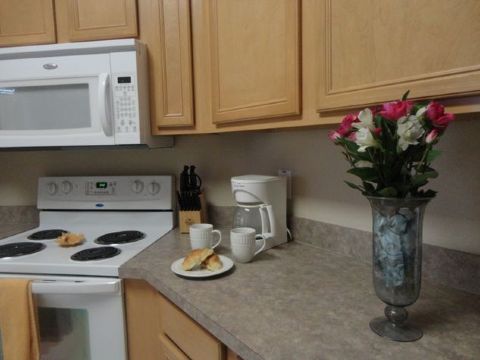 Sunny DreamsOver view