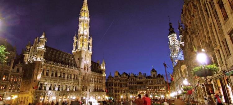 布鲁塞尔机场喜来登酒店(Sheraton Brussels Airport Hotel)图片