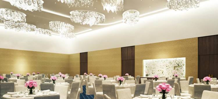 圣彼得堡国际展览中心希尔顿酒店(Hilton Saint Petersburg Expoforum Hotel)图片