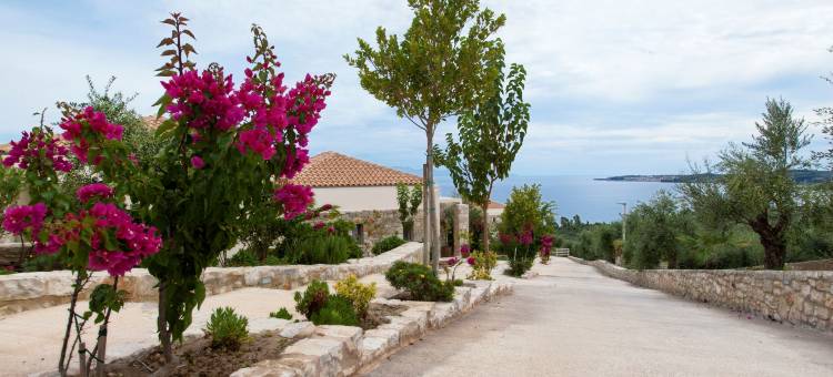 卡姆威立雅水疗度假村(Camvillia Resort Messinia)图片