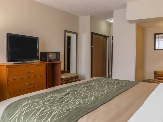 Comfort Inn Metro Airport Romulus Hotel Reviews And Room Rates
