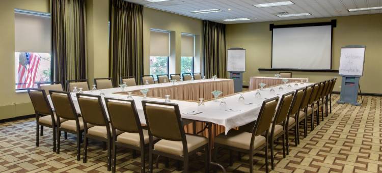 芝加哥市中心欢朋套房酒店(Hampton Inn & Suites Chicago-Downtown)图片