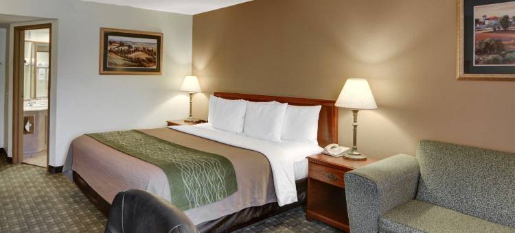 北威奇托福尔斯舒适酒店(Comfort Inn Wichita Falls North)图片