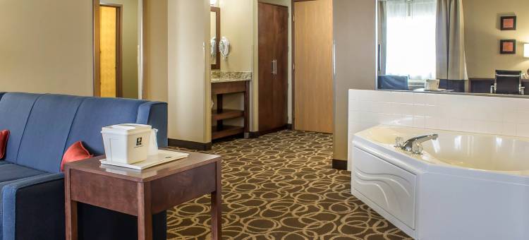 舒适酒店(Comfort Inn Dyersville Near the Field of Dreams)图片