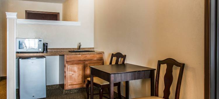 舒适套房酒店(Comfort Suites)图片