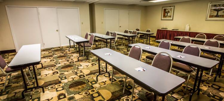 橡树溪阳台近橡树溪中心舒适全套房酒店(Comfort Suites Oakbrook Terrace Near Oakbrook Center)图片