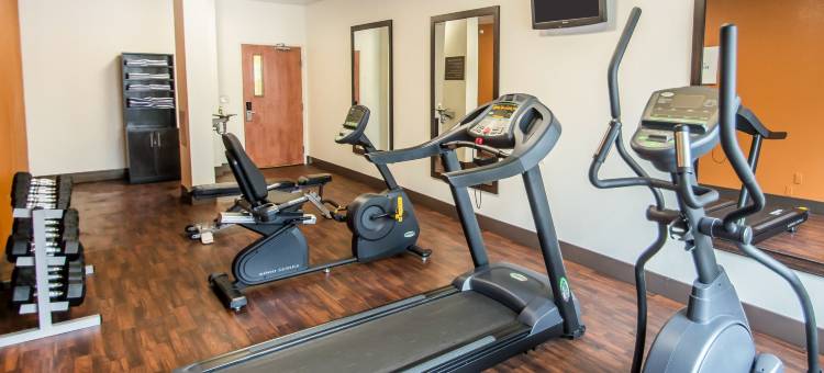 舒适套房酒店罗切斯特亨利埃塔大学区(Comfort Suites Rochester Henrietta University Area)图片