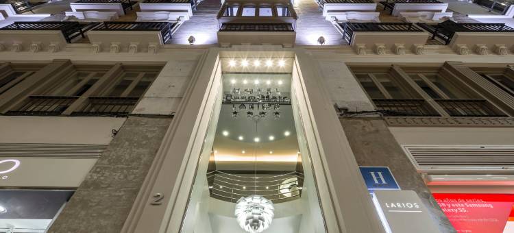 室友拉里奥斯住宿(Hotel Larios Málaga)图片