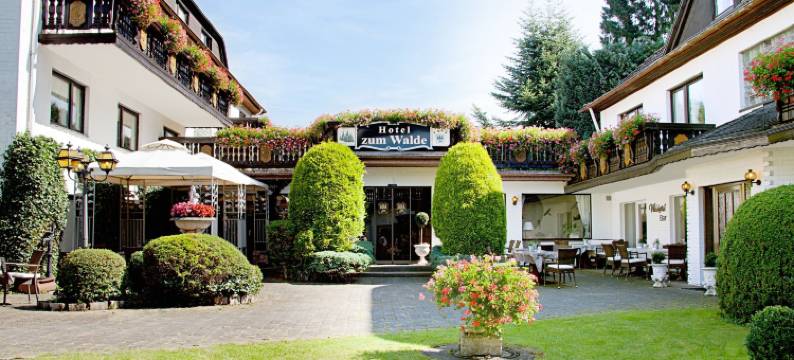 祖姆瓦尔德酒店(Hotel Zum Walde)图片