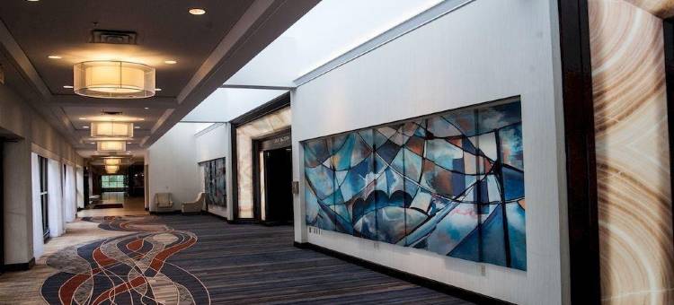 波士顿万豪酒店伯灵顿(Boston Marriott Burlington)图片