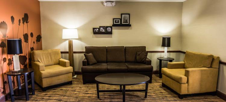 霍布斯的舒眠茵套房酒店(Sleep Inn & Suites)图片