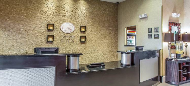 佛伦伦萨I-95舒适套房酒店(Comfort Suites Florence I-95)图片