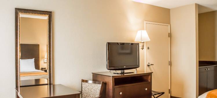 机场特佛维路舒适酒店(Comfort Inn Airport Turfway Road)图片