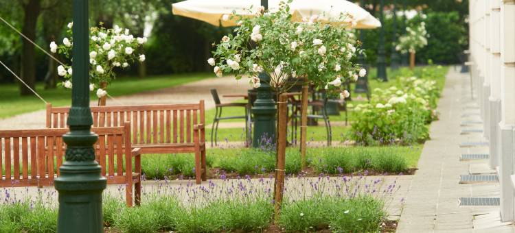 a&o 布鲁塞尔中心(a&o Brussel Centrum)图片