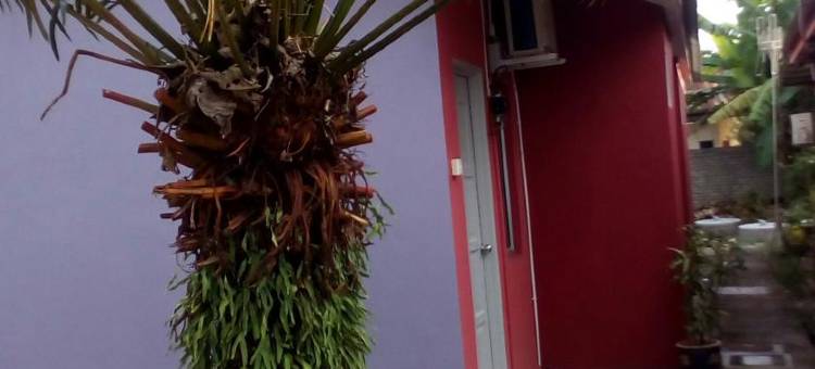 兰卡威葛瑞科图阿民宿(Langkawi Gerek Tua Homestay)图片