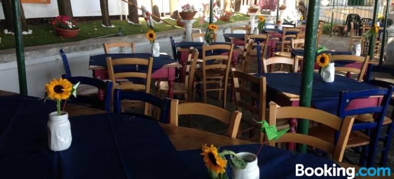 Villa Tergeste图片