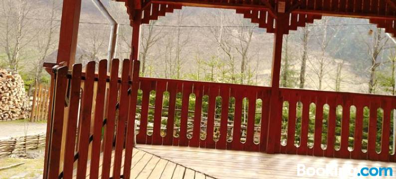 卡巴那安库特伊旅馆(Cabana Ancutei)图片