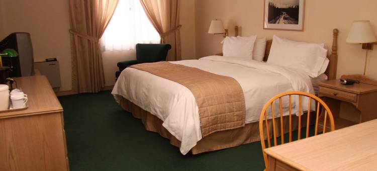 品质酒店(Quality Inn & Suites)图片