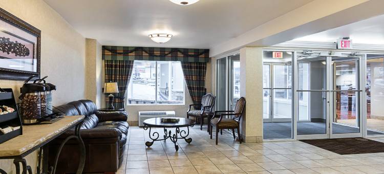 福尔斯彻奇舒适酒店-泰森斯角(Comfort Inn Falls Church - Tysons Corner)图片