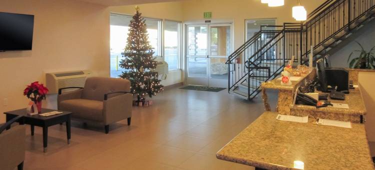 贝克斯菲尔德市区附近凯艺套房酒店(Quality Inn & Suites Near Downtown Bakersfield)图片