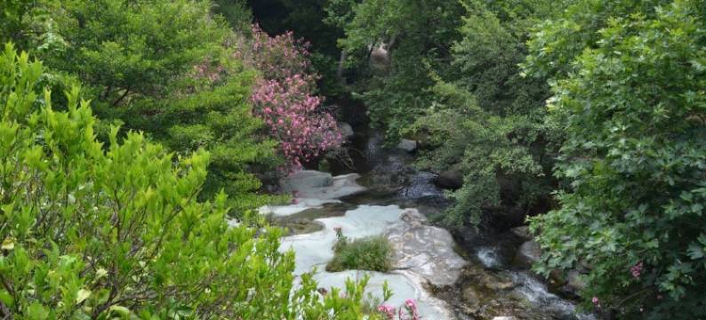 马尔维斯塔酒店(Mare Vista Hotel - Epaminondas)图片