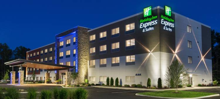 智选假日套房酒店梅迪纳(Holiday Inn Express & Suites Medina)图片