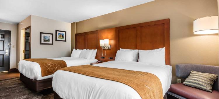 舒适酒店及套房纳什维尔 靠近Tanger Outlets I-24 安提阿克(Comfort Inn & Suites Nashville Near Tanger Outlets I-24 Antioch)图片