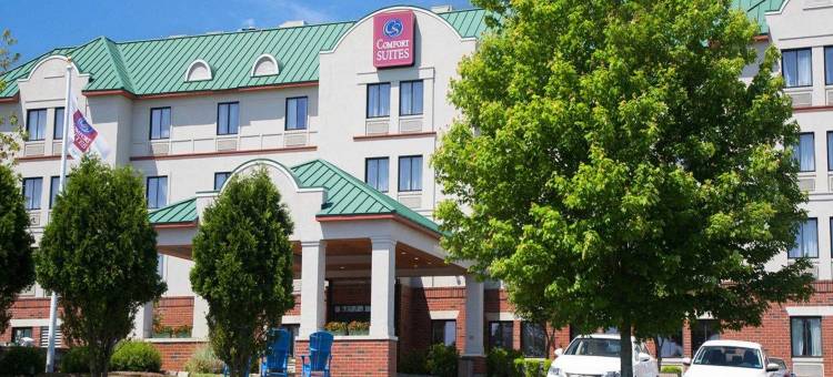 西沃里克 - 普罗维登斯舒适套房酒店(Comfort Suites West Warwick - Providence)图片