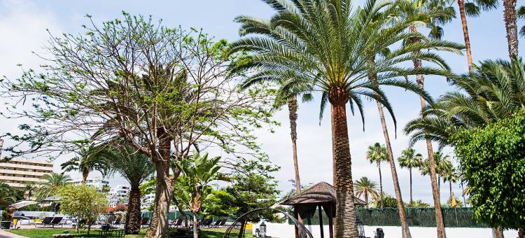 阿克赛尔海滩玛斯帕洛马斯公寓及休息室俱乐部-仅限成人(AxelBeach Maspalomas - Apartments and Lounge Club - Adults Only)图片