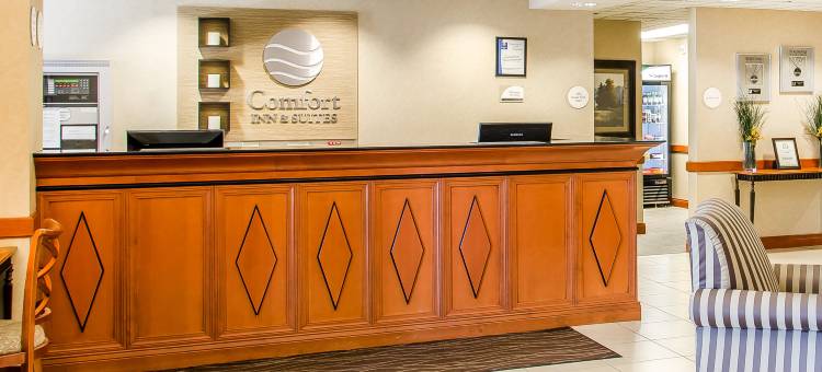 杰罗姆舒适套房酒店-双子瀑布(Comfort Inn & Suites Jerome - Twin Falls)图片