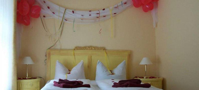 皮兹健康酒店(Hotel am Peetzsee)图片