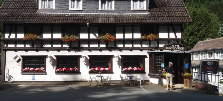 组司晨瓦尔德酒店(Hotel Züschenwald)图片