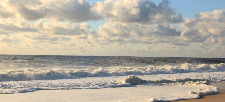 高塔小屋(The Tower Cottage Bed and Breakfast)图片