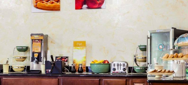 凯艺套房酒店(Quality Inn & Suites)图片