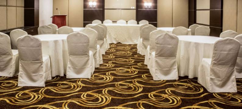 南方舒适酒店(Hotel Southern Comfort)图片